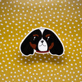 Dipper - Cavalier King Charles Spaniel