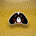 Dipper - Cavalier King Charles Spaniel