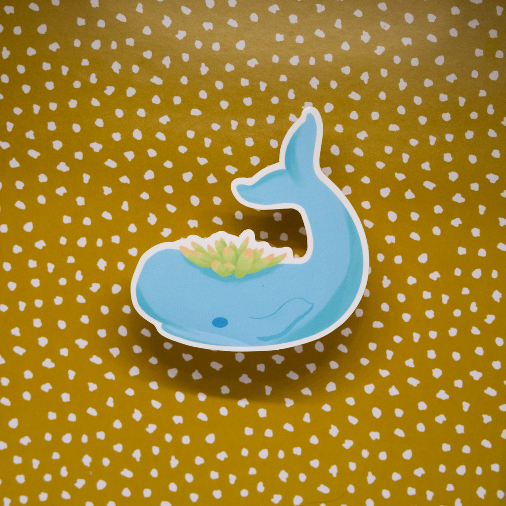Succulent Whale