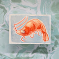 ACEO "SHRIMP"