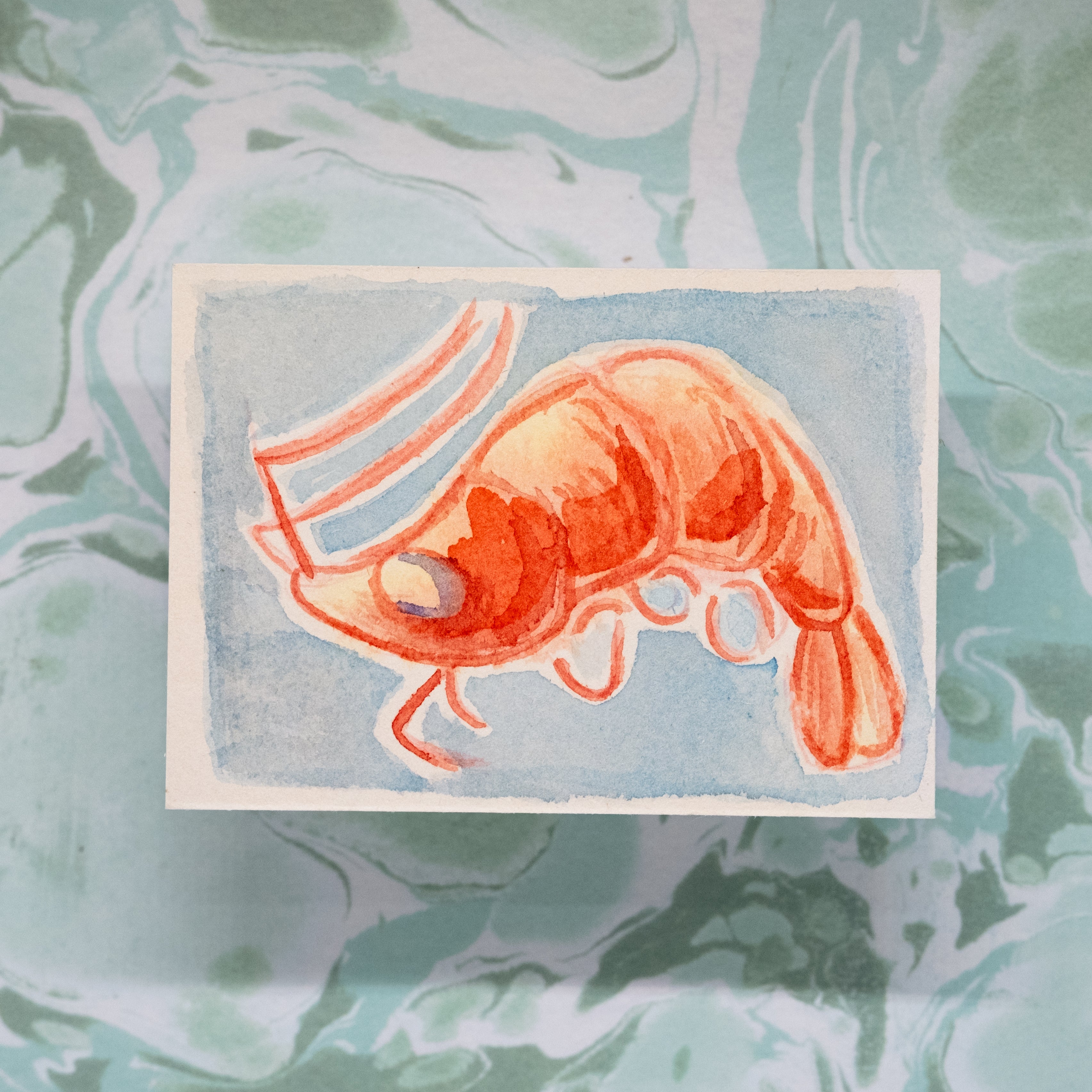 ACEO "SHRIMP"
