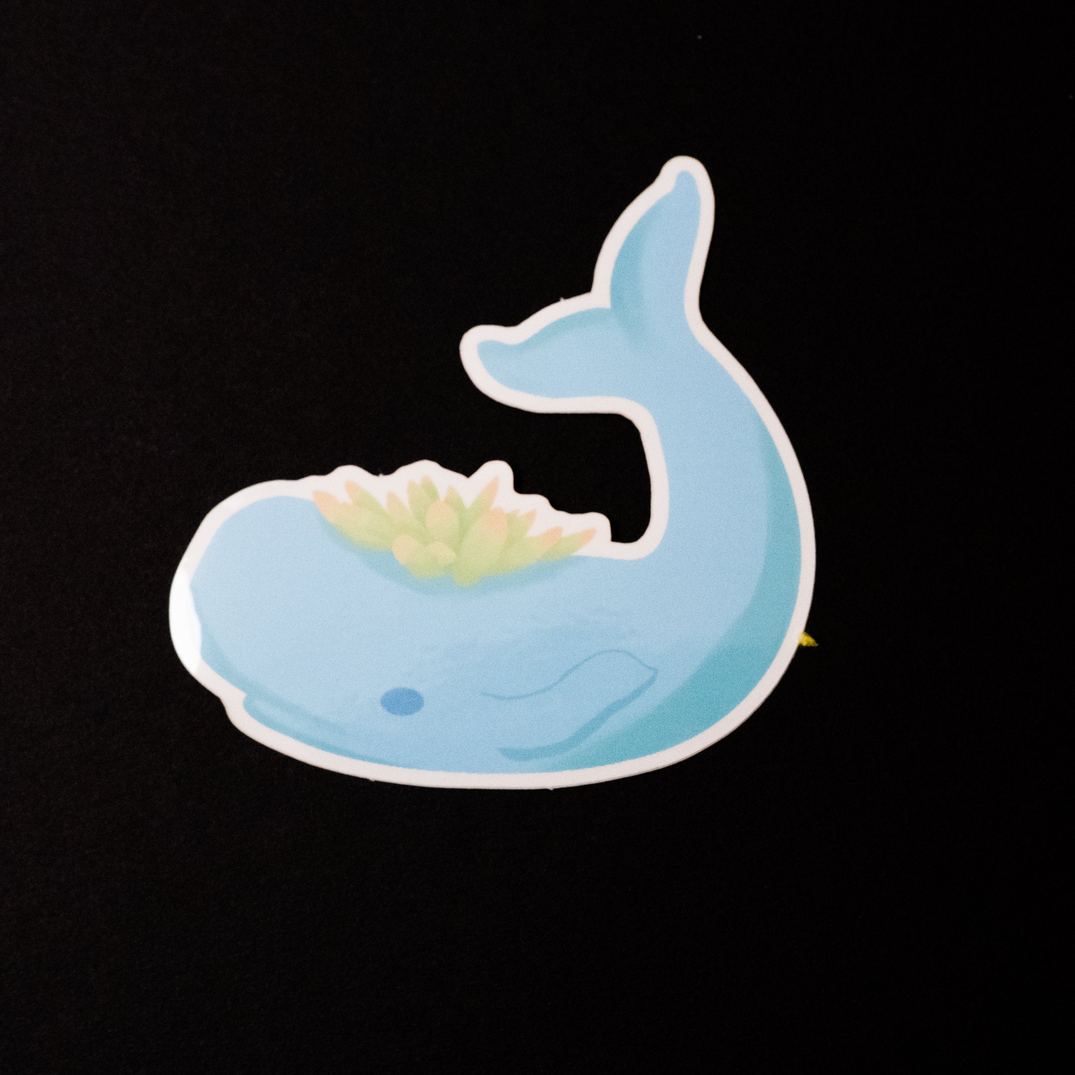 Succulent Whale