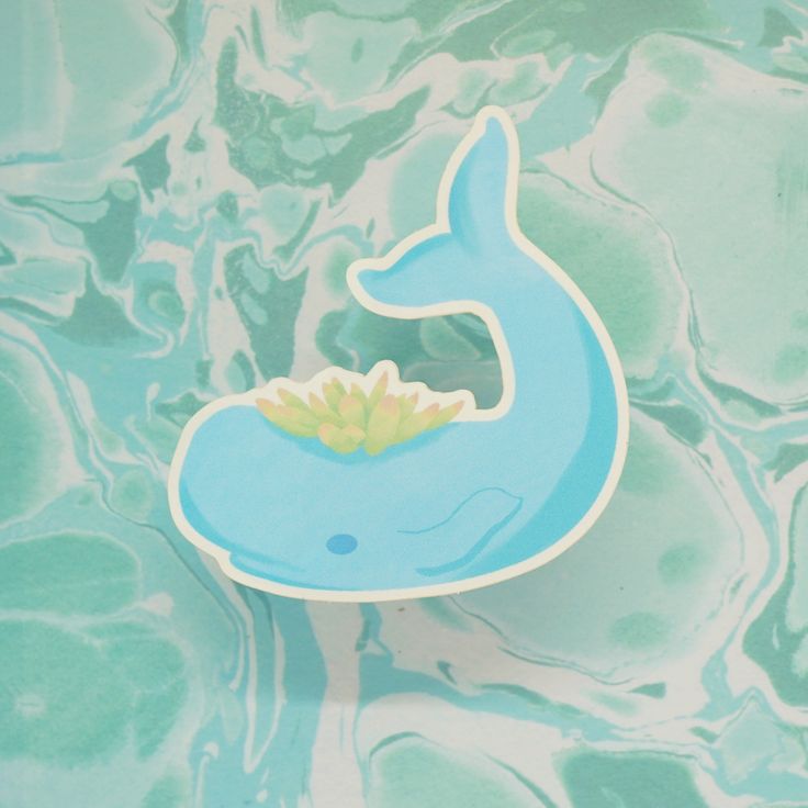 Succulent Whale