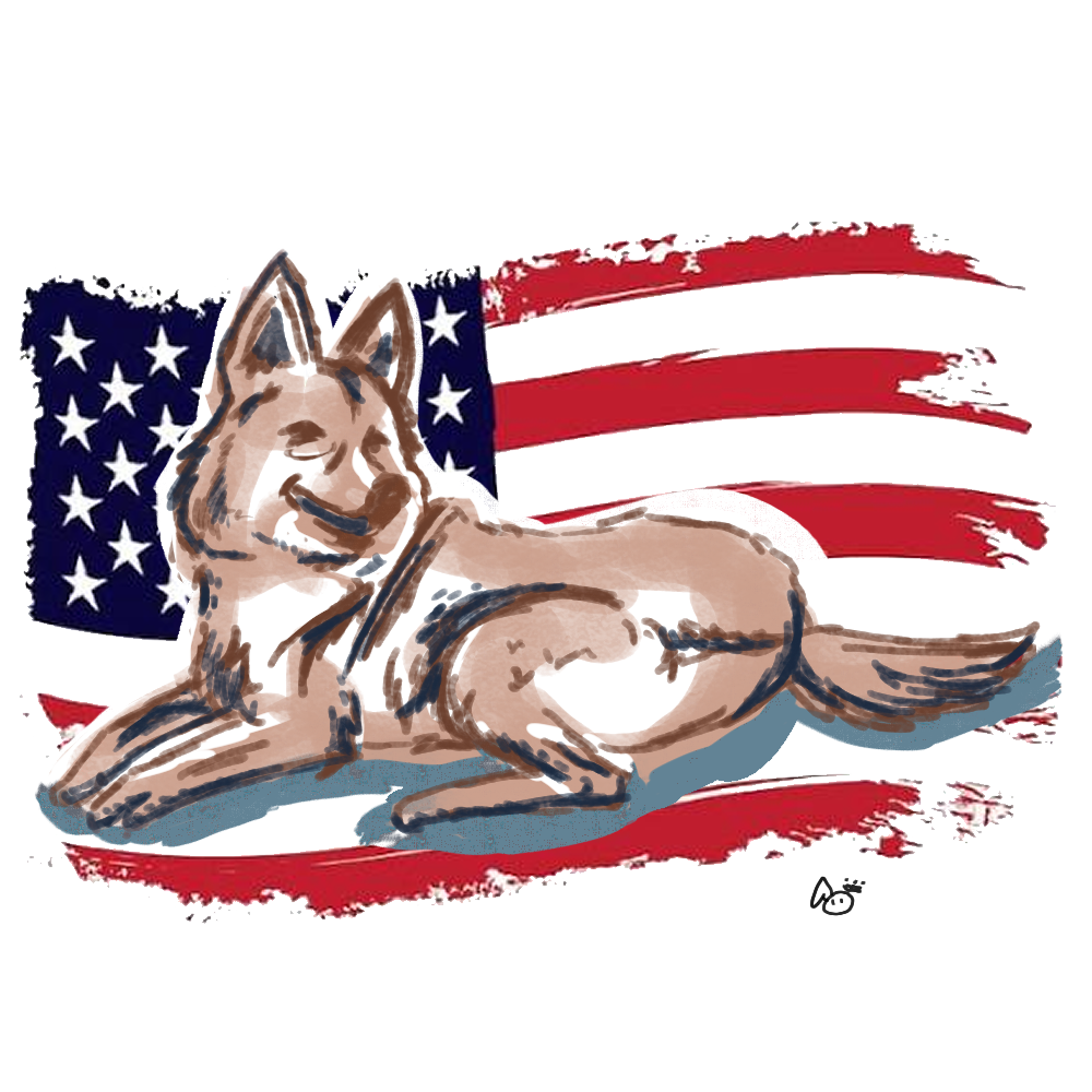 Pet Portrait 4th of July Special