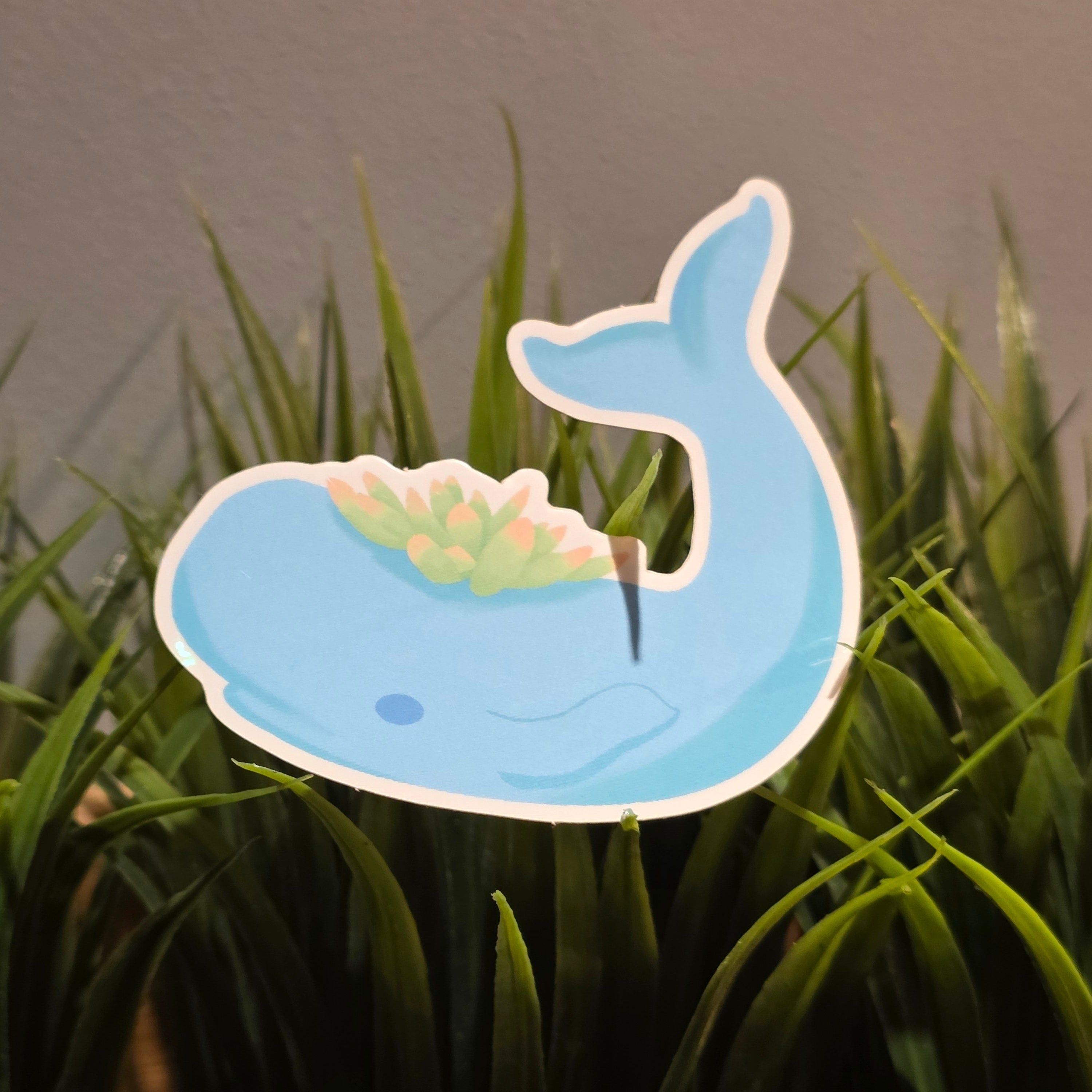 Succulent Whale