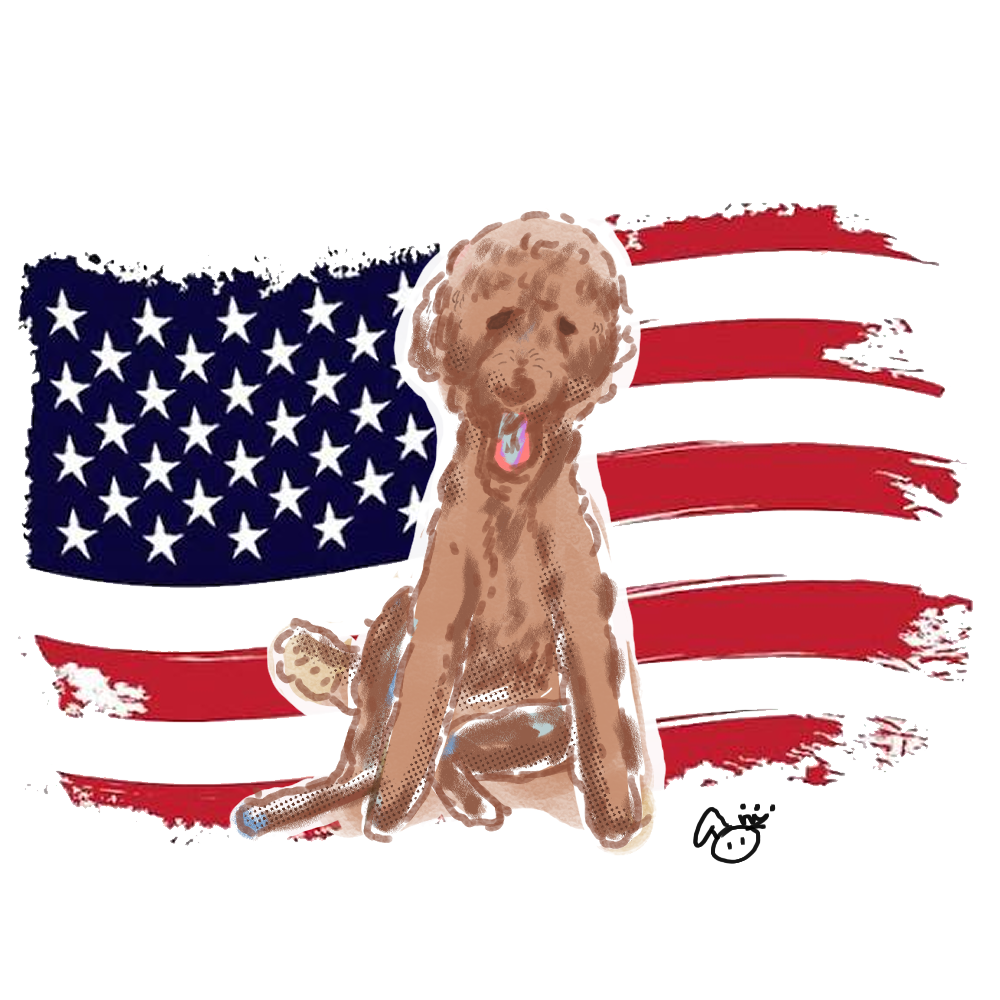Pet Portrait 4th of July Special