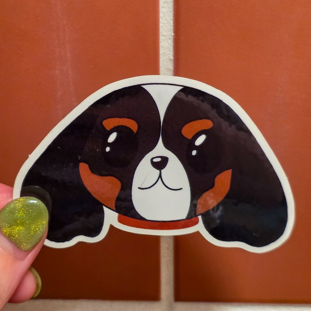 Dipper - Cavalier King Charles Spaniel