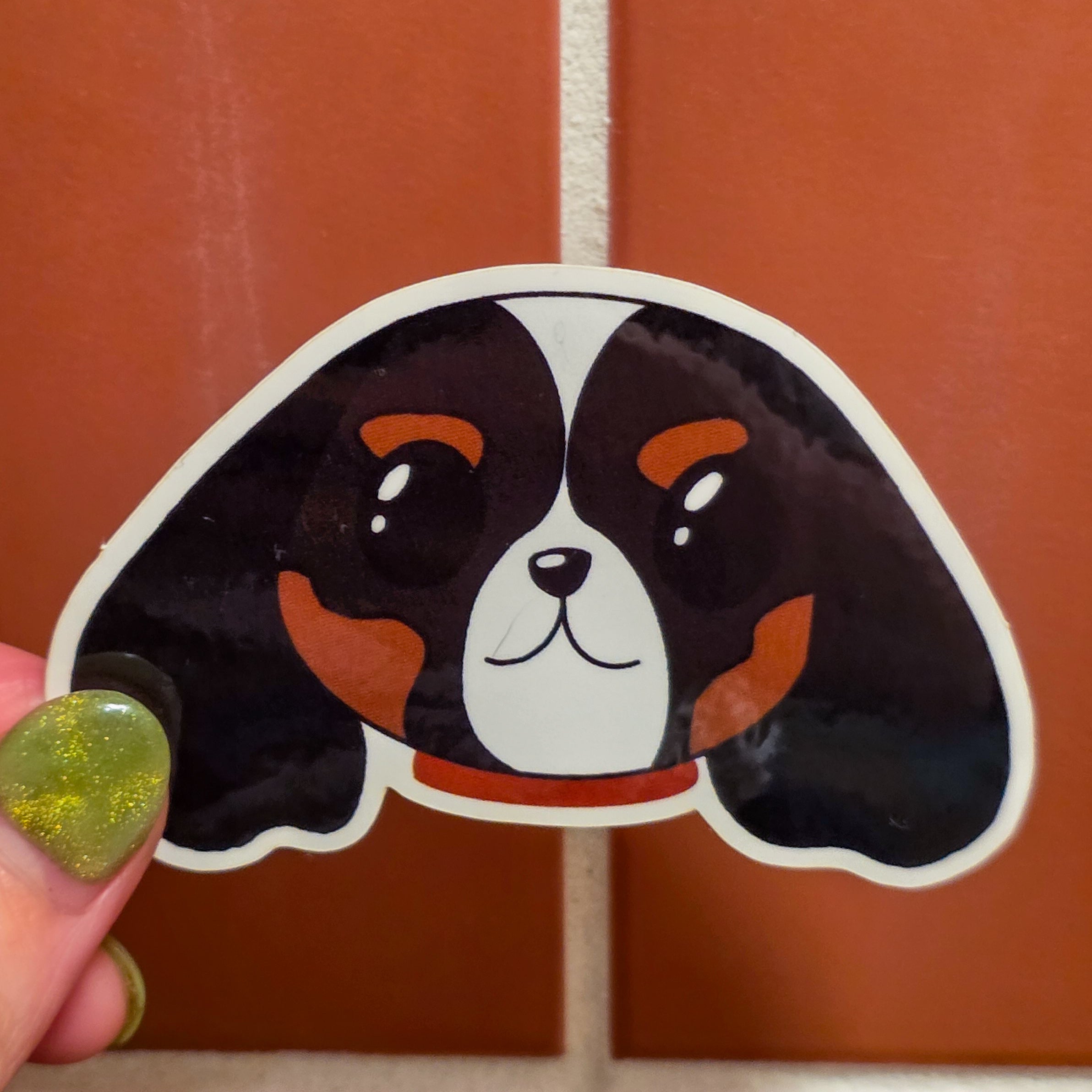 Dipper - Cavalier King Charles Spaniel